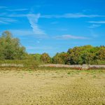 vacant land