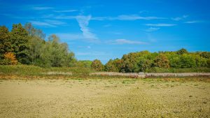 Why You May Need a Survey Before Buying or Developing Vacant Land