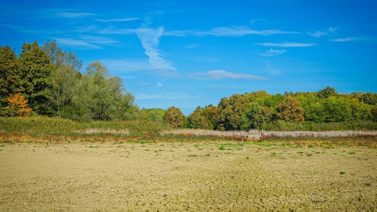 vacant land